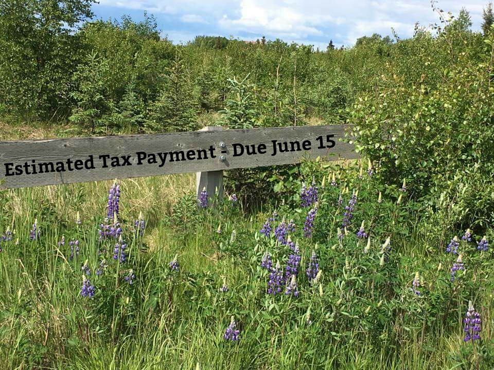 Estimated Tax Payment Due June 15